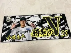 小幡竜平　シークレットタオル