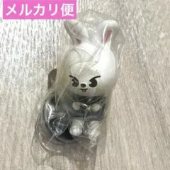 SKZOO つまんでつなげてますこっと でらっくす！リービット Leebit