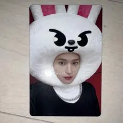 Stray Kids MAXIDENT skzooトレカ