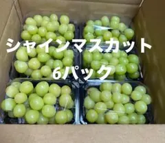 シャインマスカット 6パック
