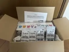 新品未開封 長場雄 YU NAGABA イーブイBOX プロモ 4パック付き