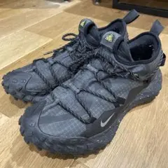 希少28.5㎝ナイキ ACG マウンテン フライ GTX SE ゴアテックスのサムネイル