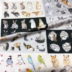生地 かわいい
