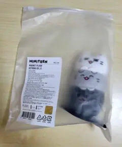 SEVENTEEN MINITEEN ジュン マグネットキーリング