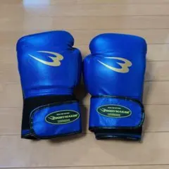 BODYMAKER ボクシンググローブ SAMURAI EDGE 10