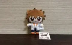 家庭教師ヒットマンREBORN! ちょこ友ぬいぐるみ vol.1 沢田綱吉
