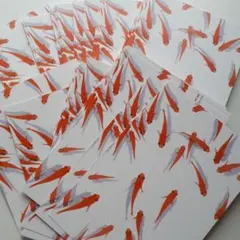 金魚 ポストカード50枚セットのサムネイル