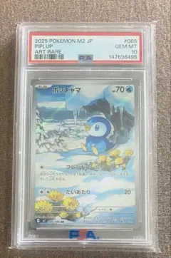 2026年最新】ポッチャマ psa10の人気アイテム - メルカリ