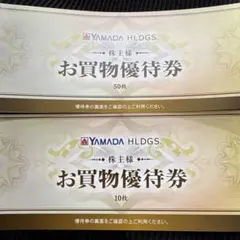 ヤマダ電機 株主優待