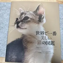 世界で一番美しい猫の図鑑