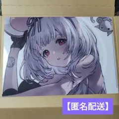 【匿名配送】 グラフェス 十二神将演義 クリアファイル ビカラ