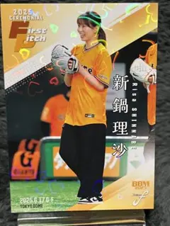 Item thumbnail for item dbc0e858-ae27-49b5-a4ff-8da9b4303a6f