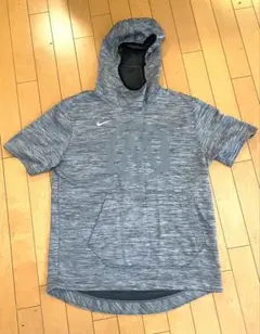 Item thumbnail for item 46fe0595-d057-4270-aa93-5b549d52636c