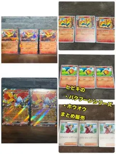 熱風のアリーナ　ヒビキのバクフーン進化ライン、ホウオウセット