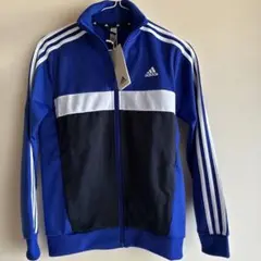 Item thumbnail for item 56ef149a-4666-4d87-9742-e71d22923da9