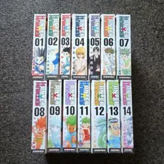 HUNTER×HUNTER ハンター×ハンター リミックス版 1～14巻﻿