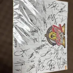 2005年 阪神タイガース サイン入りポスター