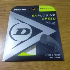 Item thumbnail for item d7253c09-726d-48c7-ab48-056f5b76077a