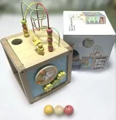 【美品】ウッディプッディ　フルーツアクティビティ　0歳　木のおもちゃ　知育のサムネイル