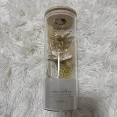 LEDドライフラワーボトル　HANA MEETS