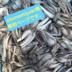 okonomiyaki様専用ページです。
