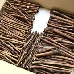 Item thumbnail for item f8350d4f-358f-4428-ab9a-0a4efcb15d25