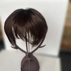 ⭐︎ほぼ新品⭐︎サキナ ウィッグ フィットタイプ - メルカリ
