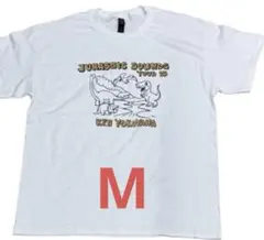 新品KEN YOKOYAMA横山 健『GAOPREX』Tシャツ白ハイスタンダード
