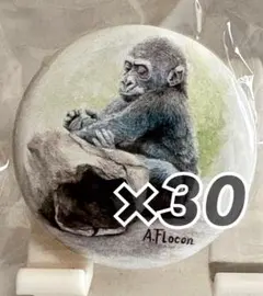 Item thumbnail for item c332d2cb-59dc-4c18-9646-14d497d072be