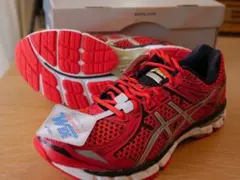 未使用品 ASICS GT-2000 NEWYORK2 スーパーワイド　26cm