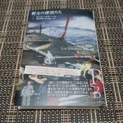 野生の探偵たち 上 ロベルト・ボラーニョ