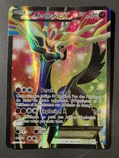ポケモンカード 英語版 ブラッキーex プロモ テラスタルフェスex