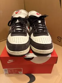 Item thumbnail for item e4d97d01-acb8-44d1-b023-a63968ebbef7