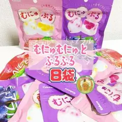 ★ピュアラルグミ むにゅぷる グミ カバヤ ぶどう りんご ミックス 8袋