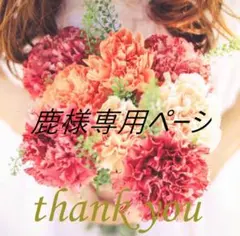 鹿様専用ページ