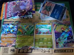 サケブシッポ　シビシラス　ジャローダ　スナノケガワ