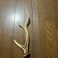 鹿の角