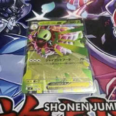 ポケモンカード　メガメガニウムexのサムネイル