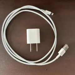 Apple iPhone 純正品 正規品 充電器 ライトニング コード ケーブル