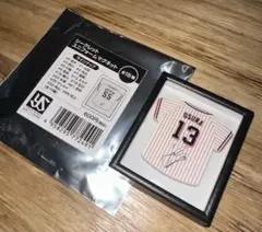 Item thumbnail for item 5fe2eddf-e70c-40e7-9522-8424f6ad74cb