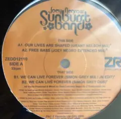 2025年最新】danny krivitの人気アイテム - メルカリ