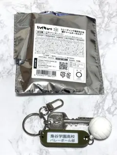 ハイキュー!! トレーディング高校名付き鍵チャームキーホルダー 梟谷学園高校