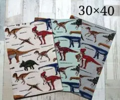 【No.120】ハンドメイド　恐竜柄　ランチョンマット　３枚セット