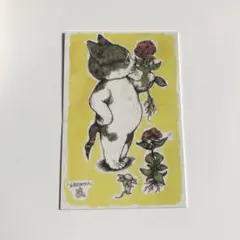 さらまりも様 リクエスト 2点 まとめ商品