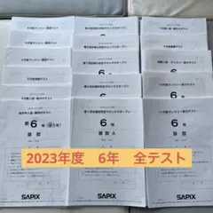 2026年最新】sapix 入室テストの人気アイテム - メルカリ