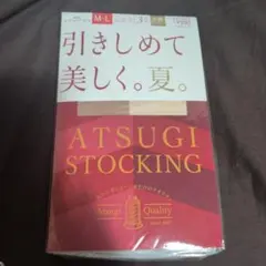 ATSUGI ストッキング M-L 3足組入り