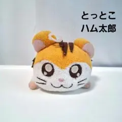 Item thumbnail for item 2ee19bfd-f0fc-47dc-9f58-de834473e49a