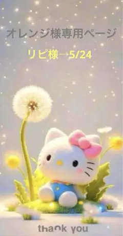 ✨️オレンジ様専用ページ✨️