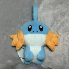 ミズゴロウ ポケモンキャンバス ぬいぐるみ - メルカリ