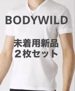 【2枚セット】グンゼ BOD YWILD　VネックTシャツ （リブ編み） XL